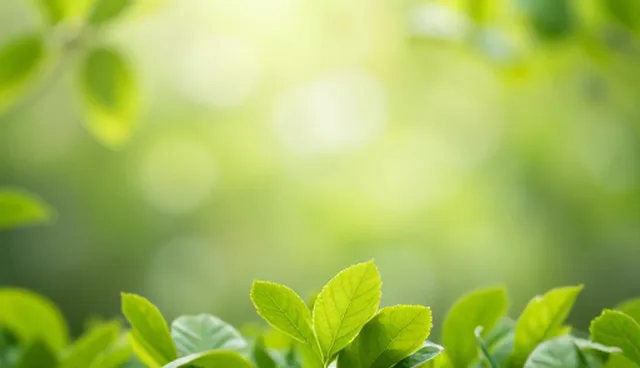 数据管理平台的性能表现与适用条件分析